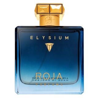 Roja Parfums Elysium Pour Homme Eau de Parfum férfiaknak 100 ml