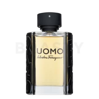 Salvatore Ferragamo Uomo Eau de Toilette férfiaknak 100 ml