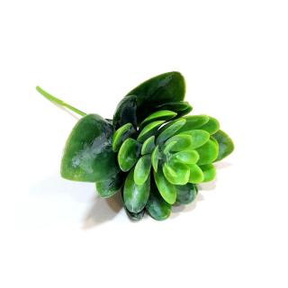 Pozsgás műnövény, mérete: kb. 6x6 cm