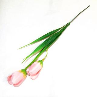 Rózsaszin krókusz levéllel, virágfej mérete: kb. 2,5x4,5 cm