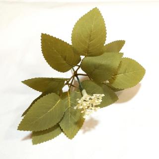 Sárgás levelű műzöld. Hossza kb. 14 cm levél mérete: 3,5x5 cm