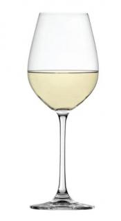 Sauvignon blanc Folyóbor