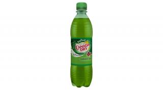 Canada Dry ginger ale szénsavas üdítőital 0,5 l (DRS)