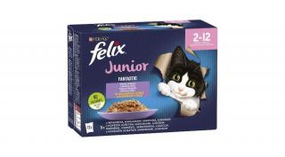 Felix Fantastic Junior Vegyes válogatás aszpikban macskaeledel, 12x85 g