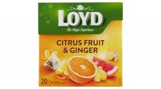 Loyd piramis gyümölcstea Citrus-fruit-gyömbér 20*2.GR