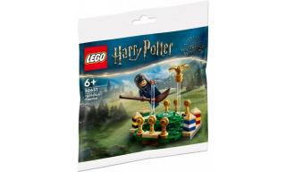 LEGO® Harry Potter™ - Kviddics edzés