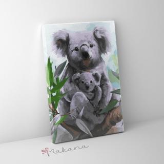 Koala - Számfestő készlet, kerettel (30x40 cm)