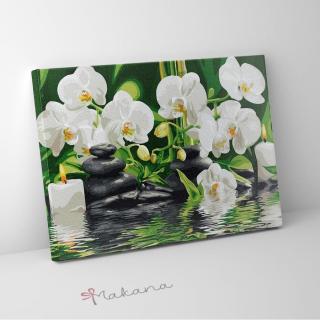 Orchidea a vízen  - Számfestő készlet, keret nélkül (40x50 cm)