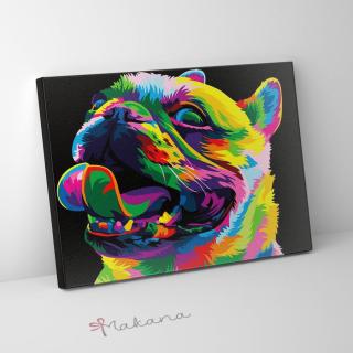 Szivárvány bulldog - Számfestő készlet, kerettel (30x40 cm)