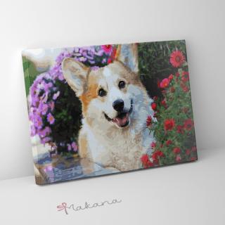 Walesi corgi - Számfestő készlet, kerettel (40x50 cm)