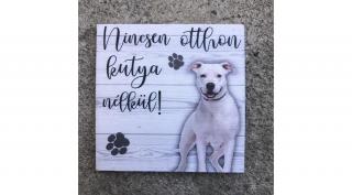 Kutyás hűtőmágnes - Amstaff