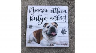 Kutyás hűtőmágnes - Angol bulldog