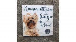 Kutyás hűtőmágnes - Yorkshire terrier