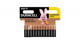 Elem mikro DURACELL Basic MN2400 AAA 12-es