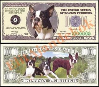 1 millió dollár - boston terrier