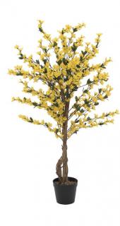 Aranyfa (Forsythia), négy törzzsel, 120 cm 82507101