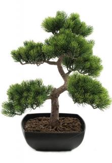 EUROPALMS Ananász bonsai, 50cm 82600110