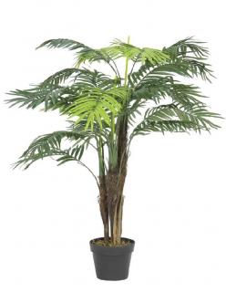 EUROPALMS - Areca pálmafa, cserépben 110cm 82509434 (Hiánycikk)