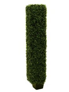 EUROPALMS Boxwood oszlop alakú növény, 118cm 82607624