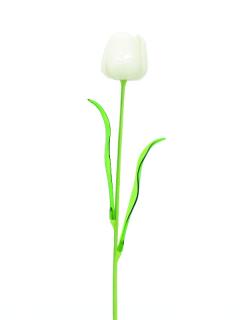 EUROPALMS Crystal Tulip, fehér, 61cm, 12db.    82600204