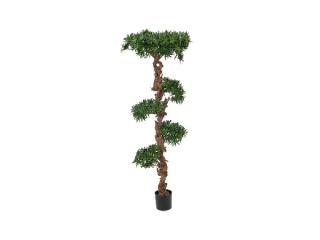 EUROPALMS Erdei bonsai fa, 180cm 82511516