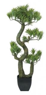 Europalms Fenyő bonsai 70cm - 82600117