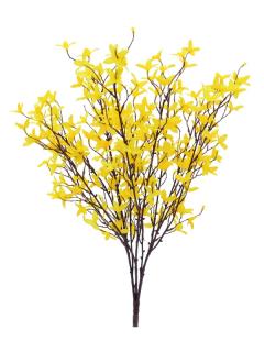 EUROPALMS Forsythiabush, 60cm     82505629