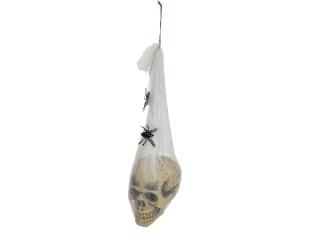 EUROPALMS Halloweeni koponya pókhálóban, 30cm, 83316072