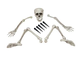 EUROPALMS Halloweeni többrészes csontváz, 83314675