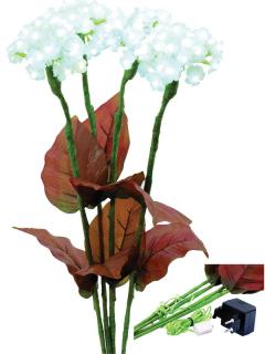 EUROPALMS Hydrangea, fehér, virágokkal, 100 leddel 83330300