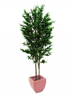 EUROPALMS Oliva fa 2-törzs olivákkal 250cm 82506418