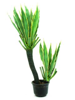 EUROPALMS Orchidea kaktusz 160cm 82809035