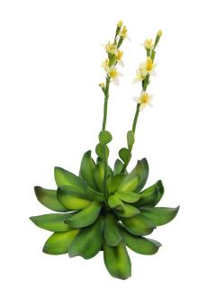 EUROPALMS Stonerose (EVA), yellow, 32cm    82530573