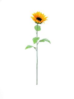 EUROPALMS Sunflower, 110cm    82522099