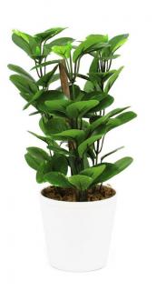 EUROPALMS Zöldellő ágak, cserépben 30cm 82502106