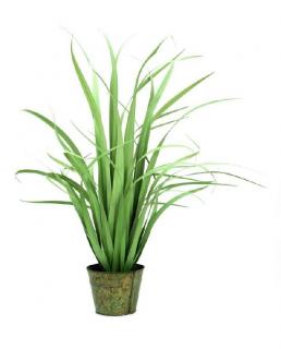 Jukka (yucca) bokor, 80 cm 82600148