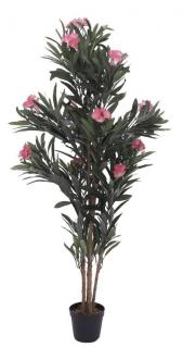 Leander, rózsaszín virágokkal, 150 cm 82507247