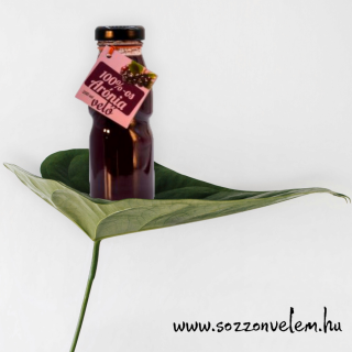 100%-os Gyümölcsvelő 200ml Arónia (Fekete berkenye)