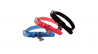 422,54 Pet Expert Prémium nyakörv medállal 1,2x20-27,5cm