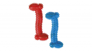 484,56 Kutyajáték-Rücskös gumicsont 15,5cm