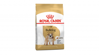 ROYAL CANIN -BULLDOG ADULT 3kg, 12kg