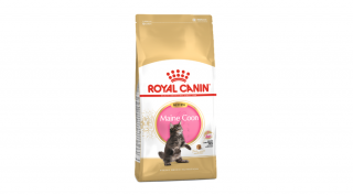 ROYAL CANIN -MAINE COON KITTEN 400gr, 2kg, 10kg