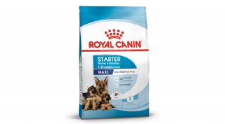 ROYAL CANIN -MAXI STARTER MOTHERBABYDOG 4kg, 15kg