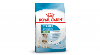 ROYAL CANIN -MINI STARTER MOTHER  BABYDOG 1kg, 4kg, 8kg