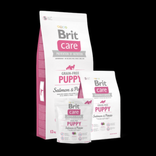 Brit Care Dog Grain-free Puppy Salmon and Potato, 3 kg