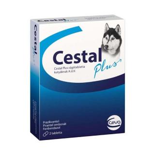 Cestal Plus rágótabletta 2x