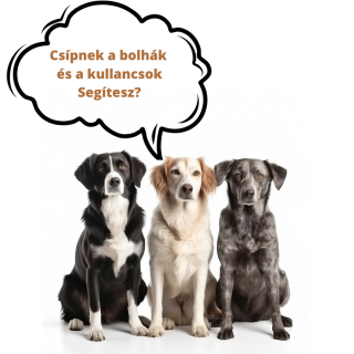 Élősködő elleni készítmény a Mancsmentő Állatvédő Egyesület részére - 3 db