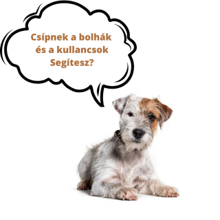 Élősködő elleni készítmény a PCAS Állatmentés részére (donation to PCAS animal rescue - anti-parasitic product) 1 db