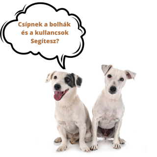 Élősködő elleni készítmény a PCAS Állatmentés részére (donation to PCAS animal rescue - anti-parasitic product) 2 db