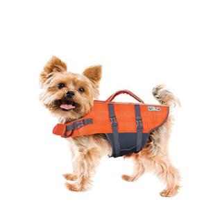 Granby Splash úszómellény - Outward Hound narancs XS